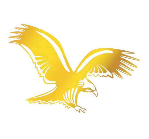 Logo del Estudio Contable Fidencia Villa